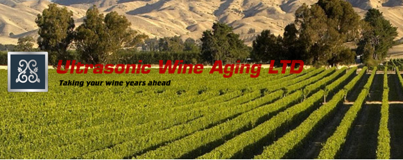 Industrial Ultrasonic Wine Ageing