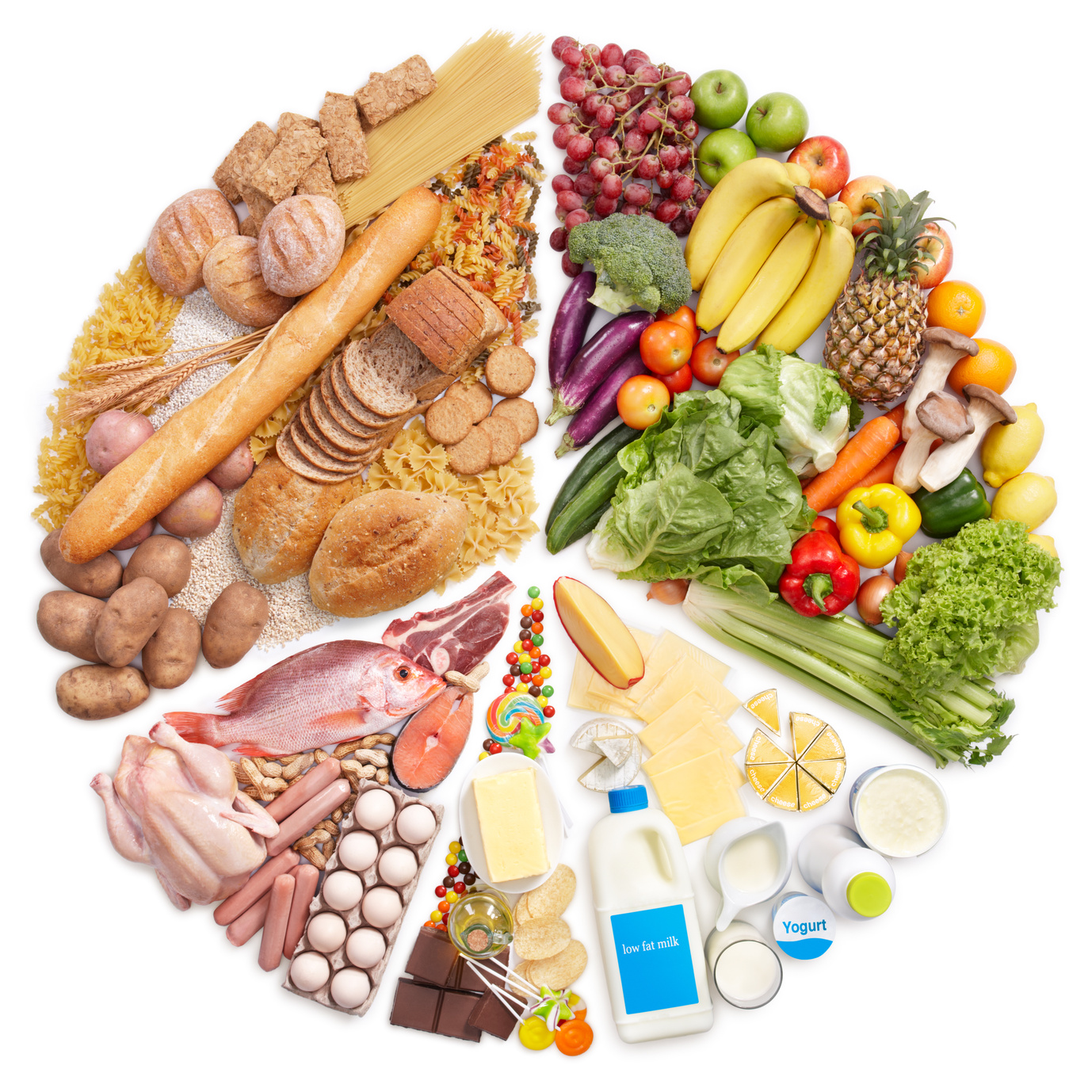 11th Food Protein Course 2016