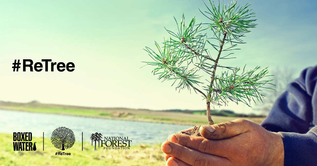 ReTree Social Campaign Surpasses Tree Planting Goals