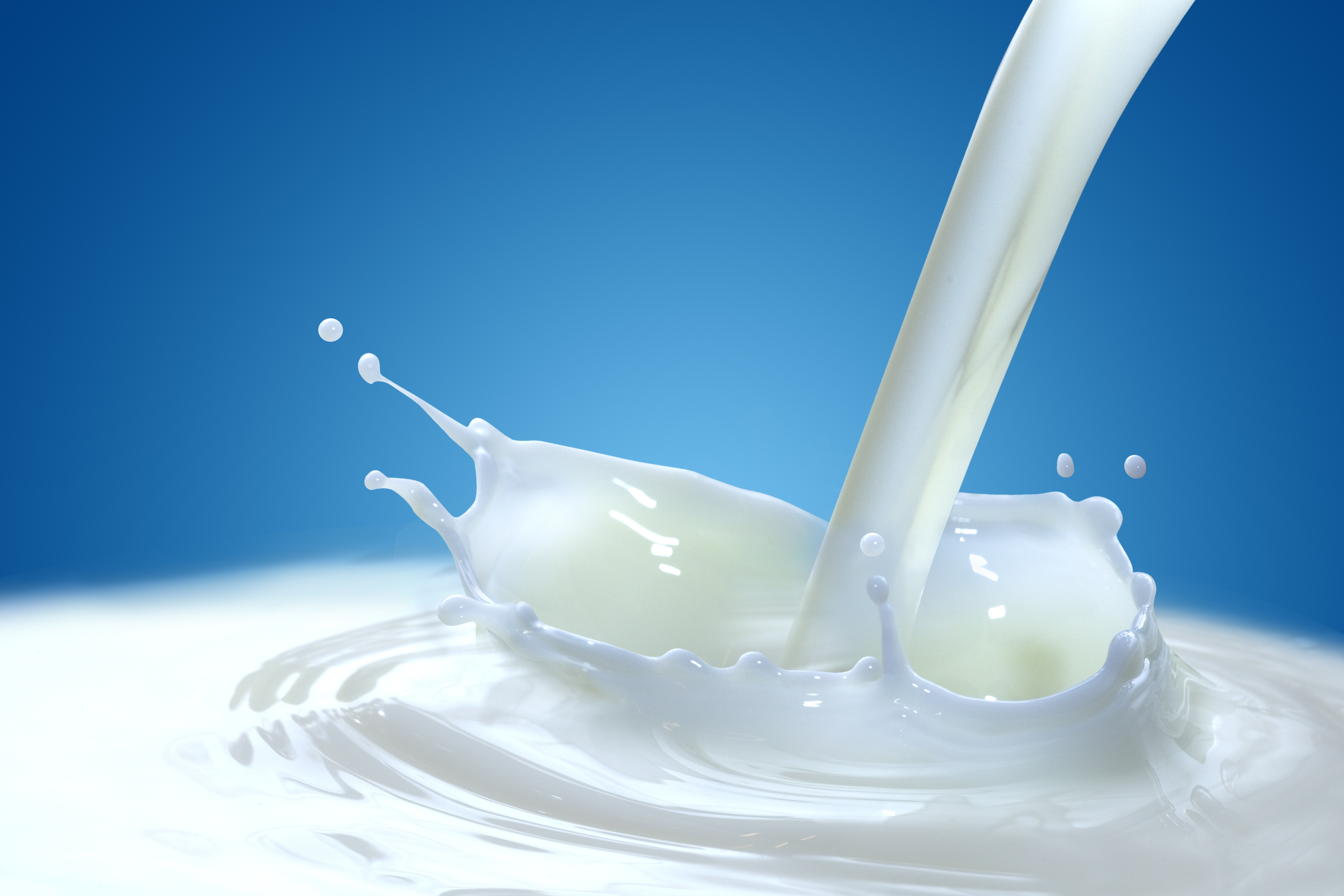 Global Dairy Market Recovery Starts From 2017 According to Report