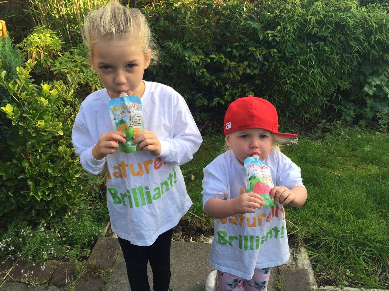 Naturelly DrinkPreneur Live 2015