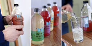 Hand Crafted Kombucha Dedicated to Tradition