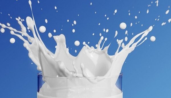 UHT Milk Market Forecast Until 2022