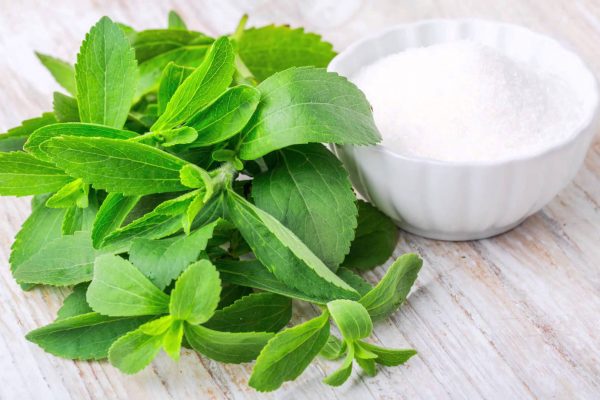 Stevia is The Future Treatment for Metabolic Syndrome Diseases, Studies Says