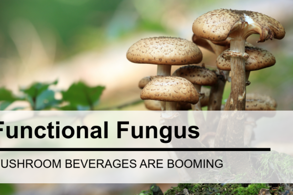 Functional Fungus? A Closer Look at the Recent Boom in Mushroom Beverages