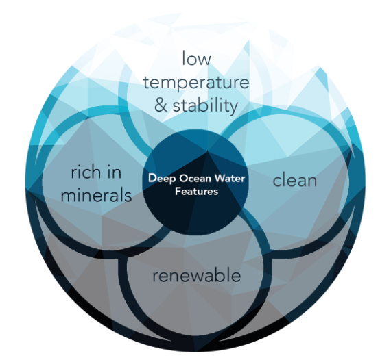 Ôdeep - A New Player Right From The Ocean Depths