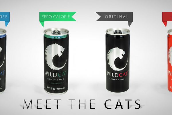 The Success Story Of WildCat Energy Drink