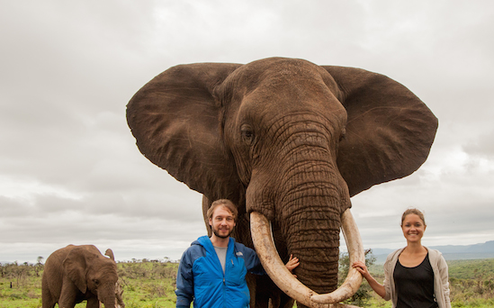 Elephant Gin Celebrate Landmark 500,000 Raised for the Protection of African Elephants